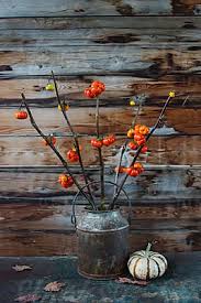 Full sun will create the best flower production and fruit set. Series Of Autumn Decoration Using Pumpkin On A Stick Plant By Tana Teel Pumpkin Decoration