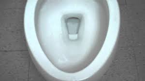 Remove the toilet tank lid by lifting it off and setting it aside on a flat, stable surface. Kohler Rear Flush Toilet Shefalitayal