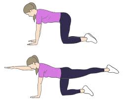 See more ideas about gymnastics, olympic gymnastics, floor workouts. 18 Different Floor Exercises Names List And Its Benefits