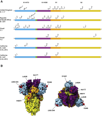 Bnt162b2 elicits a blunted innate immune sensor activating capacity and thus augments antigen expression. Eeqobt3wywpr0m