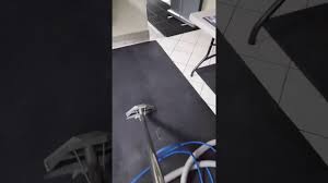 We make sure you carpet receives the best cleaning possible. Steam Carpet Cleaning Evergreen Carpet Cleaning Mississaunga On Youtube