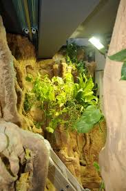 Looking For Led Lighting For Aqua Terrariums Orphek
