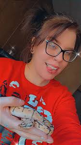 Can misting the enclosure help tame a scared tortoise?