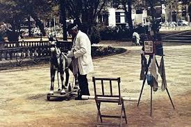 El Fotografo Del Caballito En Los Jardines De Murillo Sevilla Fotos Antiguas Fotos