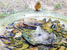 The branches of the trees also offer security to the birds in case they need to quickly escape any predators while in the birdbath. Water Features Attract Backyard Birds