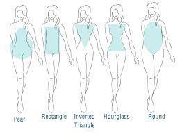 Find Your Body Shape Sizecharter