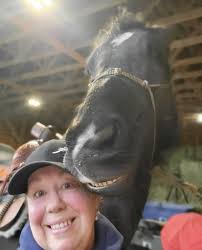 509 here with my boy Chance . This is what a happy horse looks like ,  teehee.