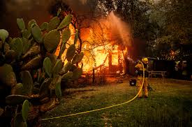 Stop using prickly pear cactus at least. A Twin Threat As Fires Burn Across California The New York Times