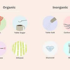 Understand The Difference Between Organic And Inorganic