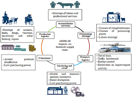 We did not find results for: Frontiers Animal Welfare And Livestock Supply Chain Sustainability Under The Covid 19 Outbreak An Overview Veterinary Science
