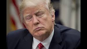 The Invitational Week 156: Lay Down a Law