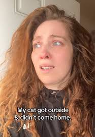 Missing Cat Wilmington Nc