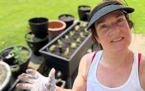 Audrey Ellis Sommers (@audreysommers7889) • Instagram photos and videos