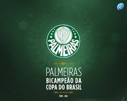 Escolha sua peça preferida e pague em até 6x s/juros. Wallpapers Palmeiras Campeao Da Copa Do Brasil 2012