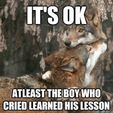 It's ok Atleast the boy who cried learned his lesson - Comfort Wolf -  quickmeme