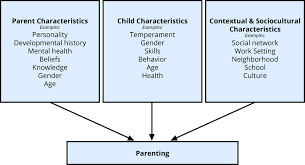 In the field of social psychology, illusory superiority is a condition of cognitive bias wherein a person overestimates their own qualities and abilities, in relation to the same qualities and abilities of other people. Parenting Lifespan Development