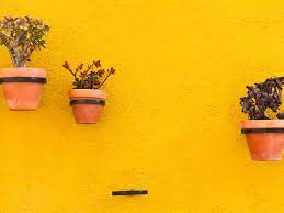 Check spelling or type a new query. 21 Best Wall Mounted Planters For Indoors And Outdoors We Love Architectural Digest