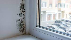 Lg osnabrück, urteil vom 19. Schimmelbildung In Der Wohnung Das Mussen Mieter Wissen