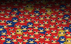 Ugandan knuckles and knuckles and knuckles. Ugandan Knuckles Wallpapers Wallpaper Cave