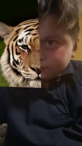 Alan Macias jr (@alanmaciasjr)