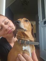 Totally forgot to post yesterday as it's been a busy weekend BUT it was 2  years yesterday since I started 🐾 Lil's Outpaws 🐾 and what an amazing 2  years it's been!!