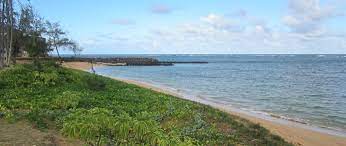 But any beach is better than a northeast us winter, am i right?! Kapaa Beach Park Kauai Beach Scoop