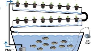 Check spelling or type a new query. Hydroponics Explained Easy Understandable Methods For Plant Cultivation