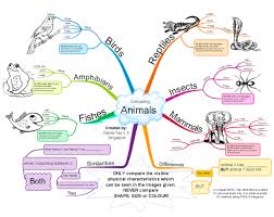 Animals Mindmapped Mind Map Template Best Mind Map Mind Map Examples