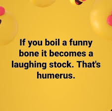 A Humerus Joke In 2020 Punny Jokes Bones Funny Cheesy Jokes