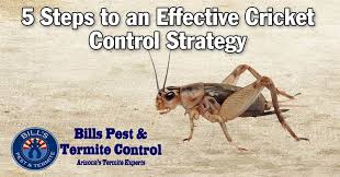 However, we had a termite inspection scheduled at our office and it took three times to get the. Cricket Pest Control Phoenix Az Bills Pest Tips