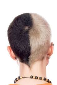 Www Short Haircut Com Wp Content Uploads 2014 12 Hair Colors For Short Hair 2014 14 Jpg Punk Hair Short Hair Color Short Hair Styles