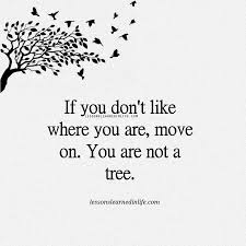 If You Don T Like Where You Are Move You Re Not A Tree Quotes To Live By Words Of Wisdom Spiritual Quotes
