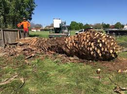 Maybe you would like to learn more about one of these? Emergency Tree Removal Services Bloom Tree Trimming Service