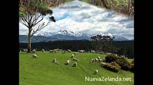 Ciudades, paisajes, lagos, acantilados, ballenas, auckland, wellington, cristianchurch, wanaka, isla del sur, isla del norte, remarkable mountains, podéís visitar mi canal. Paisajes Naturales Nueva Zelanda Youtube