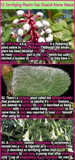 Pin On Interesting