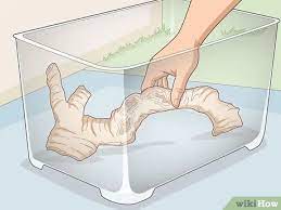 Hello, this is a video on making a center piece from driftwood. 3 Easy Ways To Preserve Driftwood Wikihow