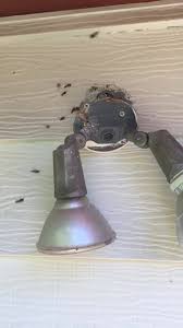 I have no idea how i got into bugs and bedbugs and here i am 6 years later and having a lot of fun working with bedbugs and i will be talking to you about pest control. Bug Off Pest Control Spokane Home Facebook