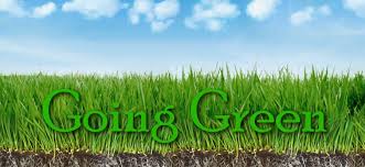 Image result for GOING GREEN recycling pics