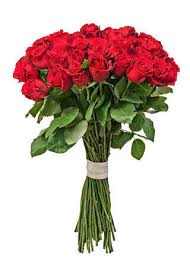 Find your perfect home in new york, ny. Flower Delivery Upper East Side Flowers Delivery Nyc