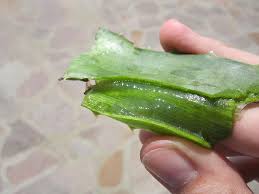 En voici 11 pour des érections plus fortes et vigoureuses. Comment Soigner Une Ampoule 5 Astuces Simples Et Rapides