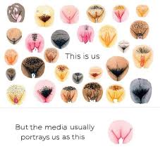 Selbst wenn deine schamlippen nach einem gewöhnlichen „typ aussehen, haben sie wahrscheinlich variationen, die sie von der nächsten person unterscheiden. Findet Ihr Es Gibt Eine Nicht Schone Vulva Sexualitat Vagina Anatomie