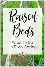 Raised Garden Beds What To Do For Early Spring Homestead Lady In 2020 Raised Garden Beds Raised Garden Spring Garden