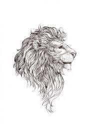 Tattoo Lion Tattoo Lion Drawing Tattoos