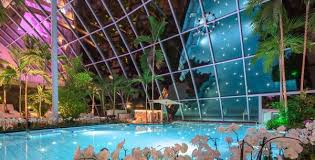 Experience the palmenparadies and the vitaltherme & sauna, your wellness oasis of the extra class. Palmenparadies Thermen Badewelt Sinsheim