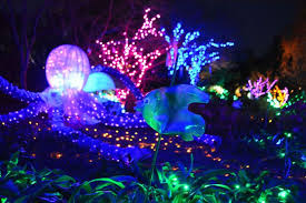 Dominion Gardenfest Of Lights H2whoa Nov 27 2015 Jan 11 2016 Great Places To Travel Lewis Ginter Botanical Garden Lights