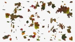 We regularly add new gif animations about and. Falling Leaf Png Image Animated Falling Leaves Background Transparent Png 1920x1080 Free Download On Nicepng