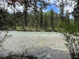 Lowman 2 Bedrooms Real Estate