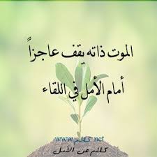 أملته آمله أملا وإملة، وهو مأخوذ من مادّة (أم ل) الّتي تدلّ على التّثبّت والانتظار. ÙƒÙ„Ø§Ù… Ø¹Ù† Ø§Ù„Ø£Ù…Ù„ 120 Ø¹Ø¨Ø§Ø±Ø© Ø¹Ù† Ø§Ù„Ø£Ù…Ù„ ØµÙˆØ± Ù…Ø¹Ø¨Ø±Ø© Ø¹Ù† Ø§Ù„Ø£Ù…Ù„ Words Home Decor Decals