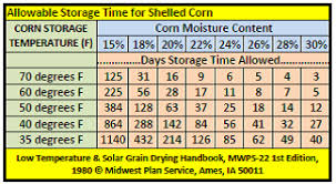 Grain Allowable Storage Time