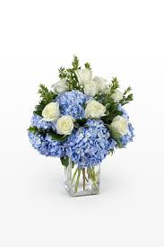 I am so glad you are here! 148 Roses Square Glass Vase Photos Free Royalty Free Stock Photos From Dreamstime